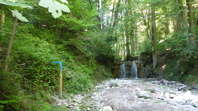 Im Tobelbach sind die Bauvisiere bereits gesteckt. Im Tobelbach sind die Bauvisiere bereits gesteckt.