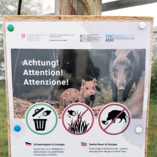 Plakat, das vor Schweinepest warnt Plakat, das vor Schweinepest warnt