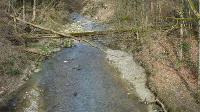 Steinachtobel Steinachtobel