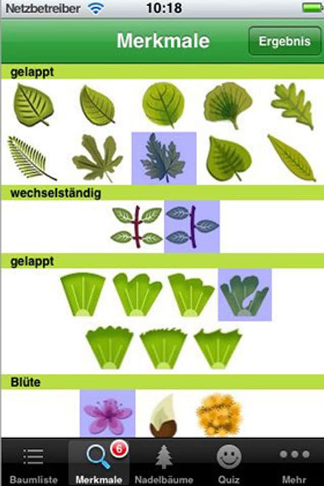 App Baumbestimmung App Baumbestimmung