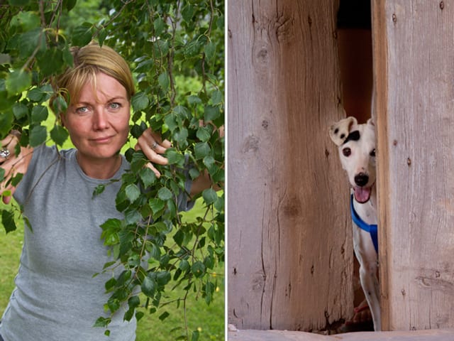 Frau hinter Blättern und Hund hinter Türe. Frau hinter Blättern und Hund hinter Türe.