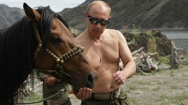 Wladimir Putin mit nacktem Oberkörper und einem Pferd.