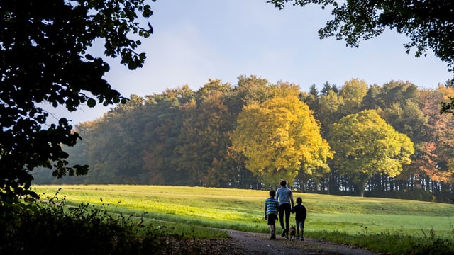Ein Erwachsener im zwei Kindern beim Waldspaziergang. Ein Erwachsener im zwei Kindern beim Waldspaziergang.