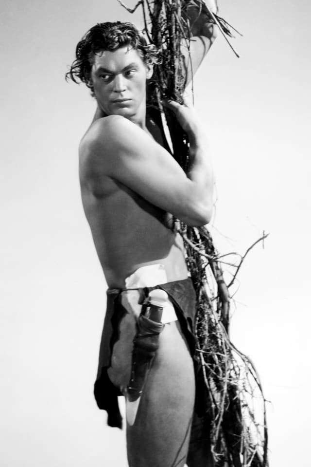 Auf dem Bild ist Johnny Weissmüller zu sehen, der als Affenmann an einer Liane hängt. Auf dem Bild ist Johnny Weissmüller zu sehen, der als Affenmann an einer Liane hängt.