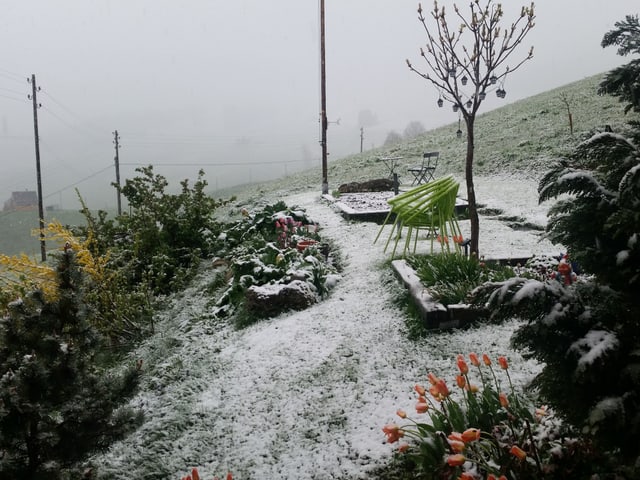 Ein Schäumchen Neuschnee auf dem Gartensitzplatz.