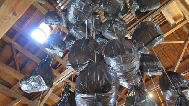 Abfallsäcke von der Decke hängend Abfallsäcke von der Decke hängend