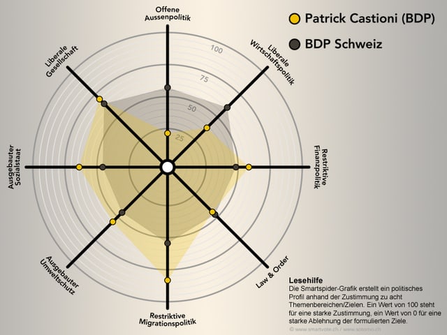 Die Smartspider von Patrick Castioni. Die Smartspider von Patrick Castioni.