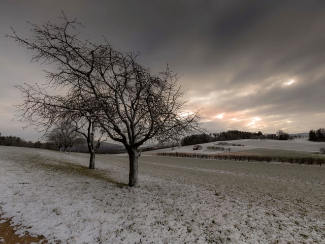 De Sonne schimmert durch Wolken hindurch. Im Vordergund stehen auf einer, dünn mit Schnee bedeckten, Wiese zwei Bäume.