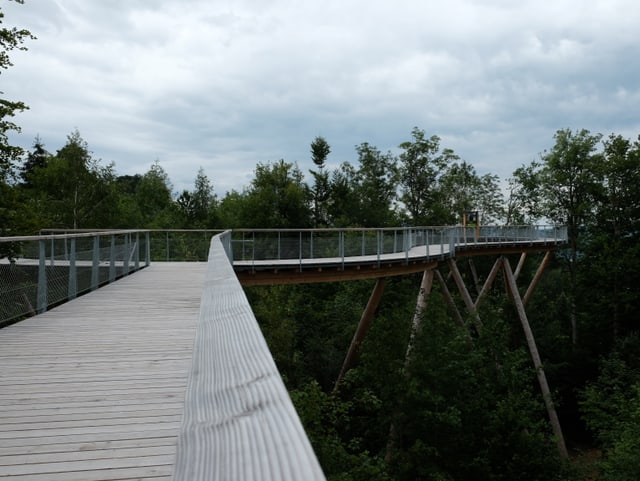 Weg hoch oben in den Bäumen führt durch Wald Weg hoch oben in den Bäumen führt durch Wald