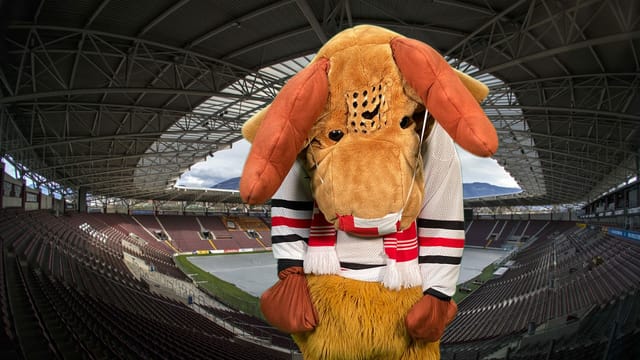 Edi Elch traurig im Stadion Edi Elch traurig im Stadion