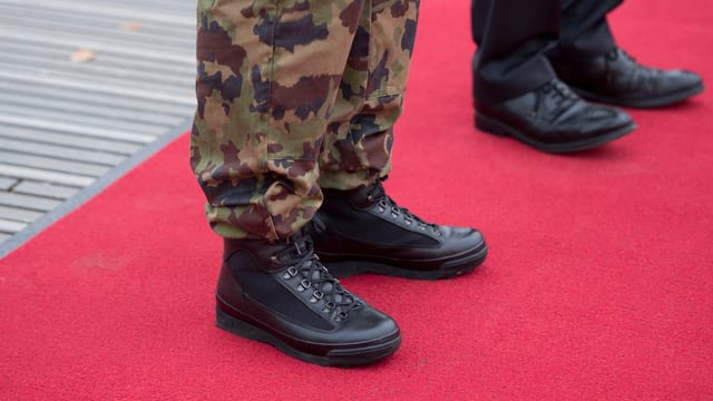Schuhe auf rotem Teppich. Schuhe auf rotem Teppich.