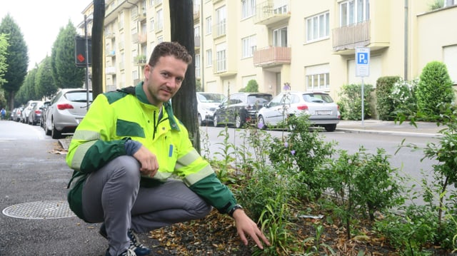 Ein Mann mit gelber Leuchtweste. Ein Mann mit gelber Leuchtweste.