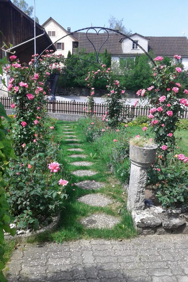 Rosenbogen