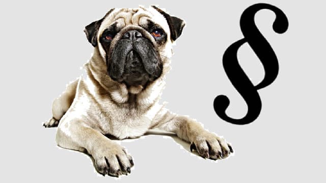 Ganz Tierisch Die Wichtigsten Fragen Zum Tierrecht Kassensturz Espresso Srf