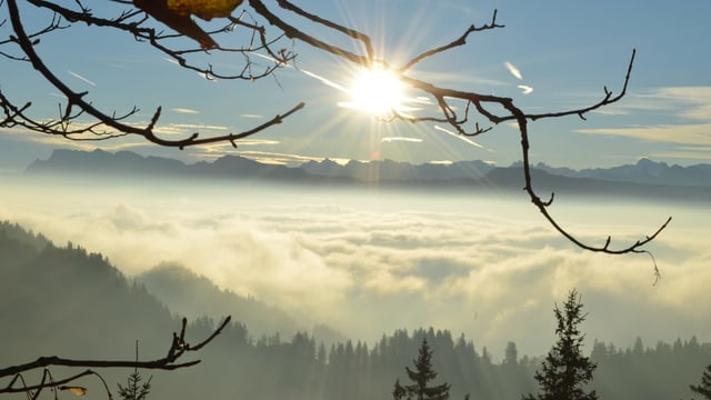 Blick durch die Äste eines Baumes auf das Nebelmeer. Blick durch die Äste eines Baumes auf das Nebelmeer.
