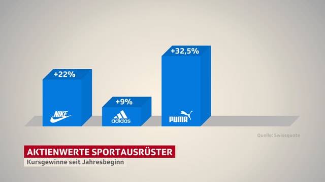 Balkendiagramm mit drei Balken: Jener von Nike ist 22 Prozent gross, jener von Adidas 9 Prozent und jener von Puma 32.5 Prozent Balkendiagramm mit drei Balken: Jener von Nike ist 22 Prozent gross, jener von Adidas 9 Prozent und jener von Puma 32.5 Prozent