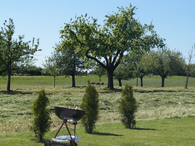 Wiese mit Heu, im Vordergrund Garten mit Grill, sonniges Wetter und Sommerstimmung.