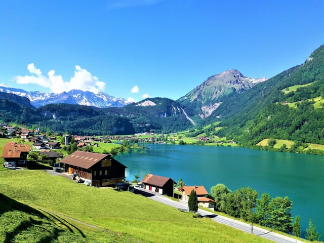 Blick auf den See, im Vordergrund Bauernhof mit gemähtem Gras.