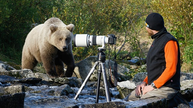 Der Schweizer Bärenforscher David Bittner und ein Bär in einem Bachbett in Alaska. Der Schweizer Bärenforscher David Bittner und ein Bär in einem Bachbett in Alaska.