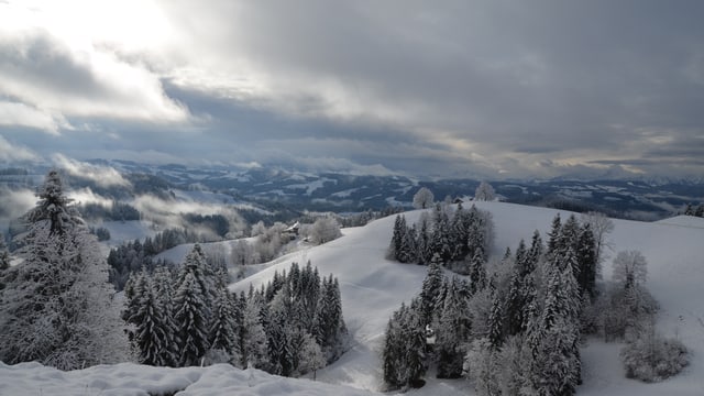 Am 21. November war es im Emmental kurz Winter. War's das schon vom Winter? Am 21. November war es im Emmental kurz Winter. War's das schon vom Winter?
