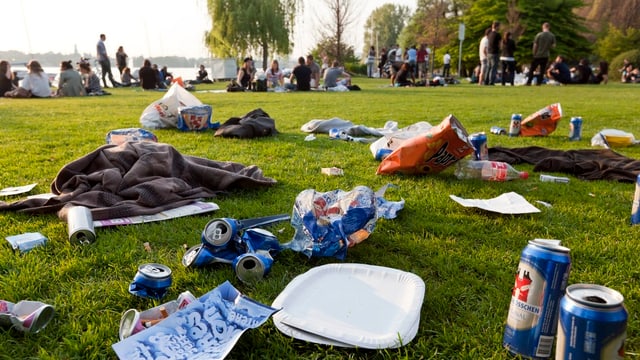 Mit Littering-Abfall übersäte Wiese in Zürich. Mit Littering-Abfall übersäte Wiese in Zürich.