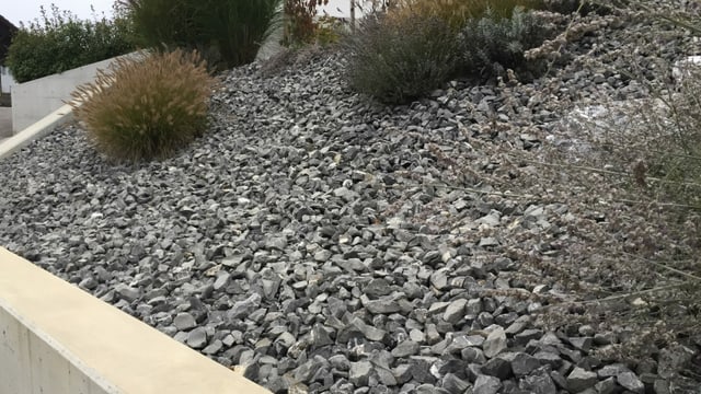 Schottergarten mit Betonwand. Schottergarten mit Betonwand.