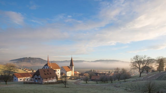 Etwas Reif und Nebel im Hintergrund, aber kein Schnee in Altishofen Etwas Reif und Nebel im Hintergrund, aber kein Schnee in Altishofen