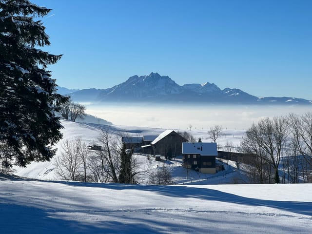 Häuser mit Tiefnebel und Bergen im Hintergrund.