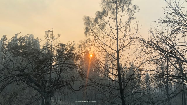 Die Sonne scheint, aber der Rauch trübt die Sicht Die Sonne scheint, aber der Rauch trübt die Sicht