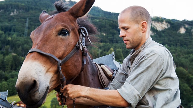 Trekkingguide Hansueli Weber führt seit Jahren Maultiertrekkings durch und begleitet die Protagonisten von "Schweiz aktuell auf dem Gotthard" auf dem Saumpfad über den Gotthard. Trekkingguide Hansueli Weber führt seit Jahren Maultiertrekkings durch und begleitet die Protagonisten von "Schweiz aktuell auf dem Gotthard" auf dem Saumpfad über den Gotthard.