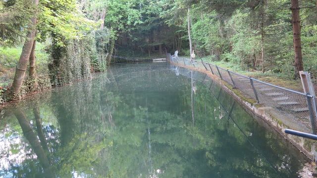 Weiher Weiher