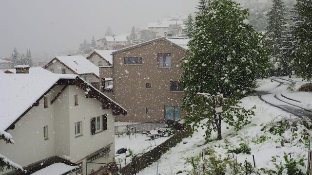 Am 20. Mai schneite es in Scuol in dicken Flocken. Am 20. Mai schneite es in Scuol in dicken Flocken.