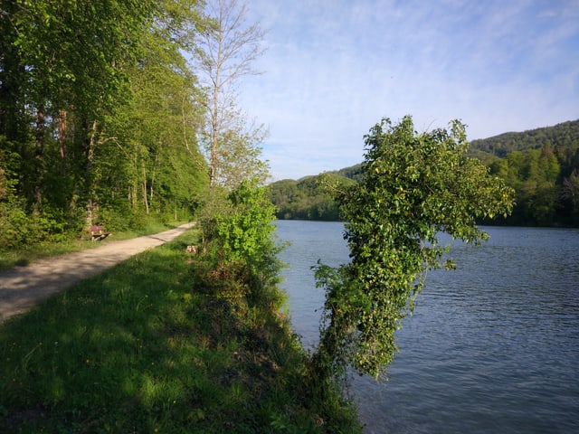 Ein Wanderweg und eine Bank an einem Fluss.