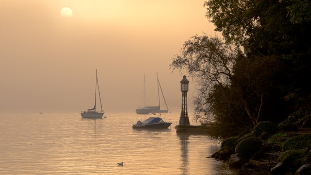 Idyllische Nebelschwaden über dem Zürichsee. Die Szenerie ist in zartes Rosa gehüllt. Idyllische Nebelschwaden über dem Zürichsee. Die Szenerie ist in zartes Rosa gehüllt.