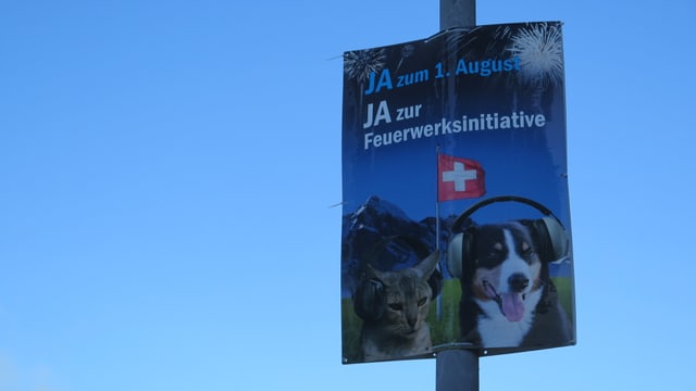 Plakat für Feuerwerk-Initiative Plakat für Feuerwerk-Initiative