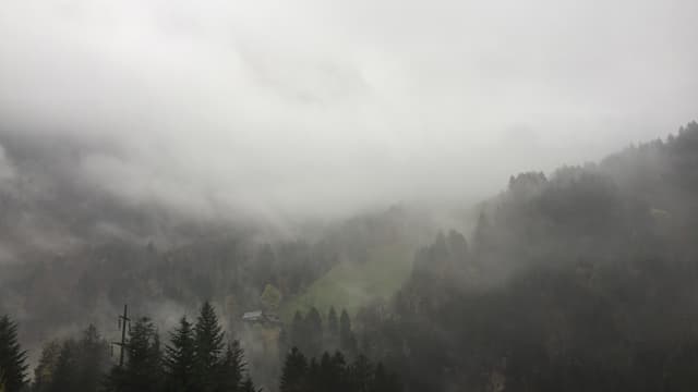 Nebelverhangene Gegend um Grafenort. Nebelverhangene Gegend um Grafenort.