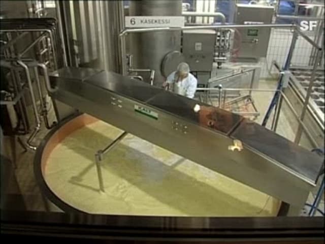 Riesiges Milchkessi in einer Käserei.