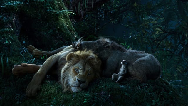 Ein Löwe, ein Warzenschwein und ein Erdmännchen liegen aufeinander und schlafen.