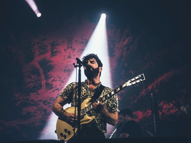 Foals