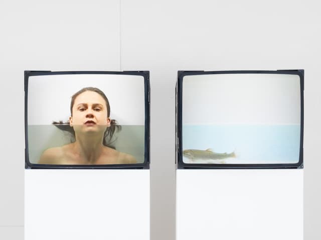 Man sieht zwei Videos. Eines zeigt eine Forelle, das andere Luzia Hürzeler. Man sieht zwei Videos. Eines zeigt eine Forelle, das andere Luzia Hürzeler.