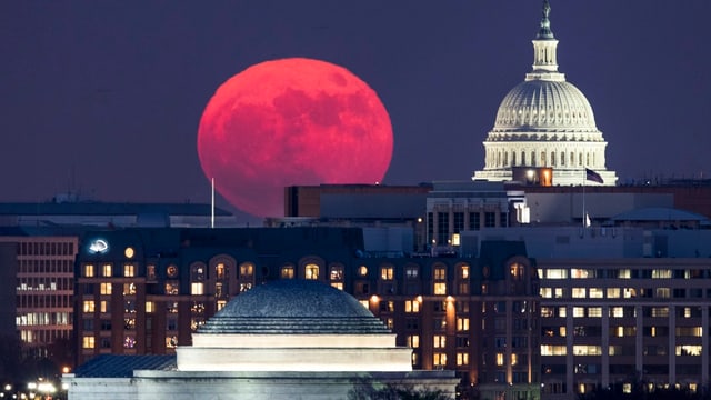 Washington DC (USA). Washington DC (USA).