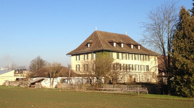 Schule Schule