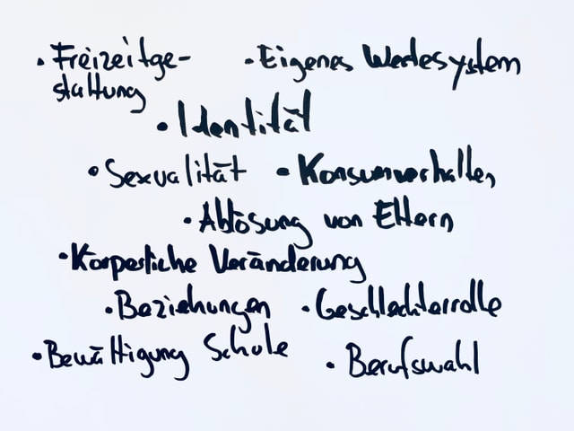 Bild mit Stichworten zu den Entwicklungsaufgaben von Jugendlichen in der Adoleszenz Bild mit Stichworten zu den Entwicklungsaufgaben von Jugendlichen in der Adoleszenz