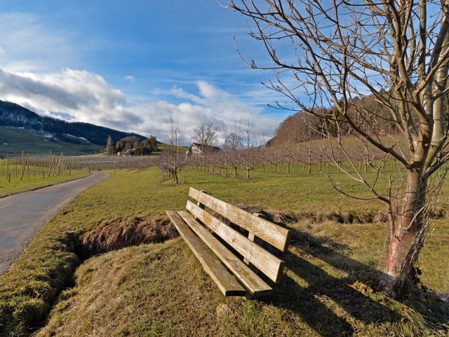 Kurz kommen Frühlingsgefühle auf bei mildem Südwestwind und 10 Grad. Eine Sitzbank an einem Weg im Sonnenschein.