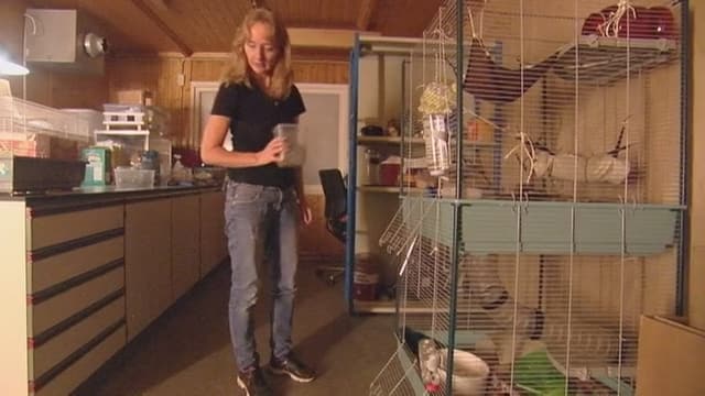 Die Ratten-Trainerin Die Ratten-Trainerin