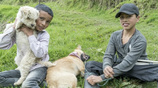 Zwei Kinder und zwei Hunde Zwei Kinder und zwei Hunde
