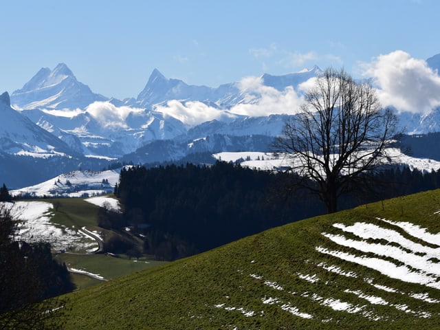 Sonniges Foto von Hügeln und Schneebergen im Hintergrund.