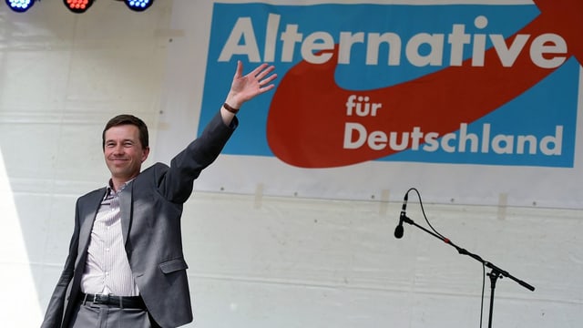 Bernd Lucke, der Gründer und starken Mann der AfD. Bernd Lucke, der Gründer und starken Mann der AfD.