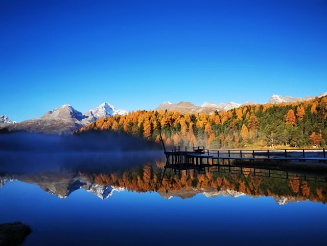 Gelbe Lärchen spiegeln sich im Wasser, chnütschblauer Himmel.