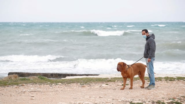 Italinier mit Hund am Strand Italinier mit Hund am Strand